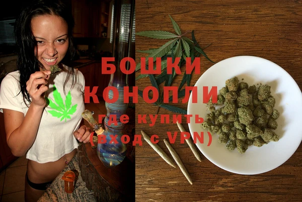 молекула духа Горнозаводск