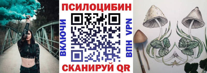 Псилоцибиновые грибы Cubensis  где найти   Искитим 