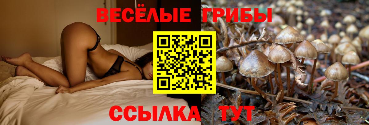 Галлюциногенные грибы Psilocybe  Вход с VPN  Искитим  что такое наркотик  Галлюциногенные грибы Cubensis 